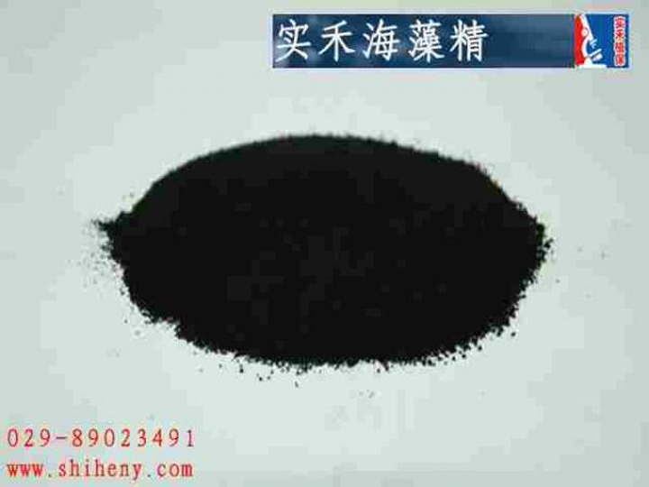 實禾海藻精