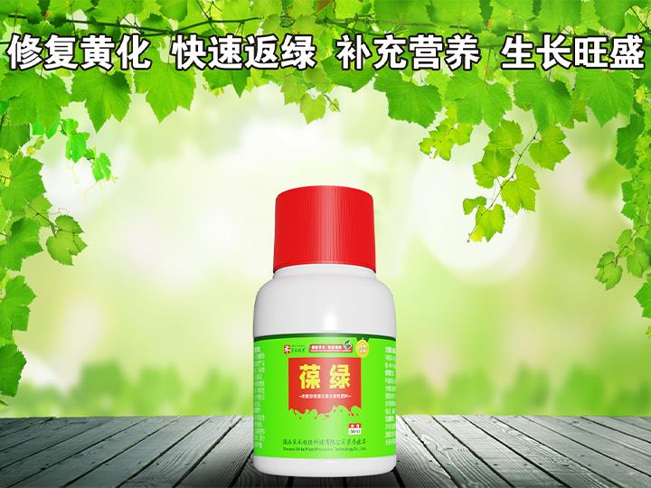 葆綠（50ml*100瓶/箱）