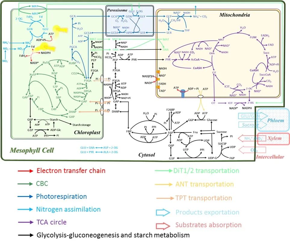 壓垮農資經銷商的三座大山！