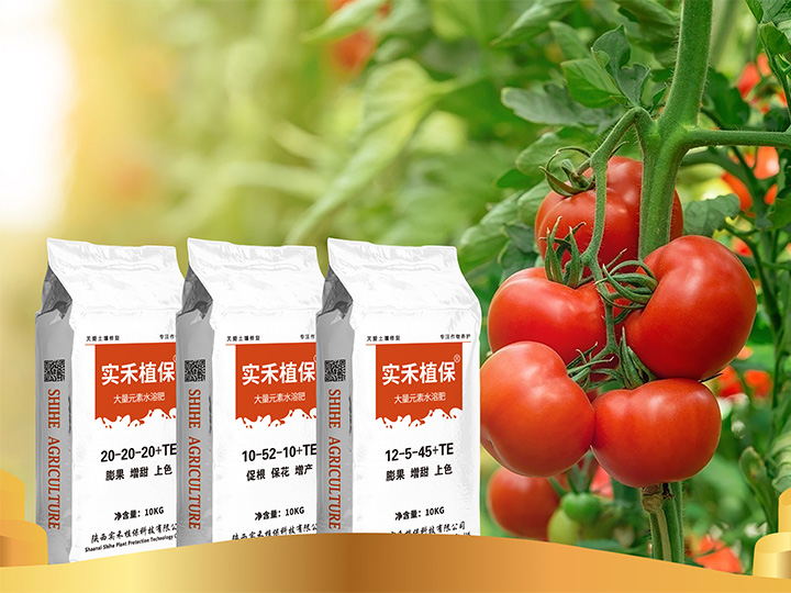 20-20-20+TE（10Kg/袋）